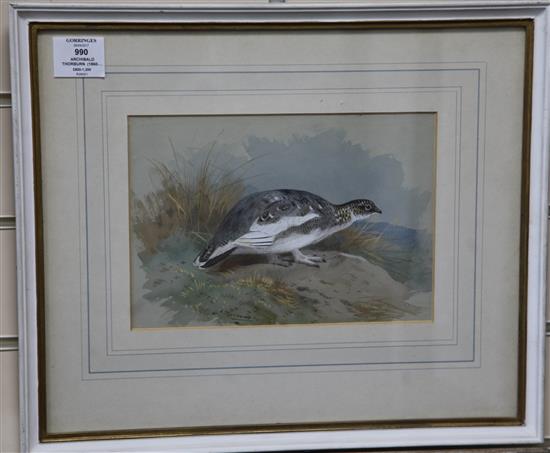 Archibald Thorburn (1860-1935) Ptarmigan 7 x 10in.
